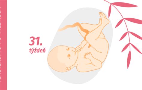 Vývoj dieťaťa v 31. týždni tehotenstva