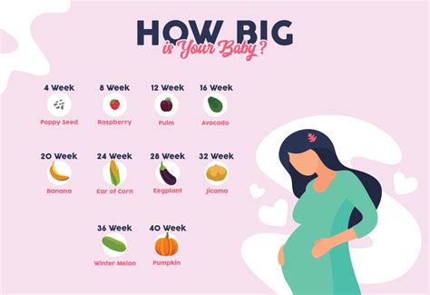 Porovnanie veľkosti plodu v 31. týždni tehotenstva s ovocím