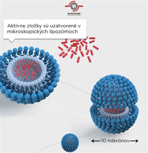 Ilustrácia nanočastíc zapuzdrených v lipozómoch pre lepšie prenikanie do pokožky