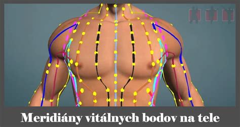 Schéma akupunktúrnych dráh v ľudskom tele