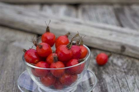 Šípky a medovka v miske