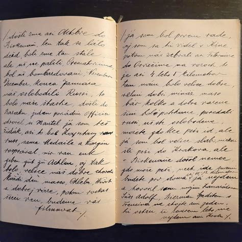 rodina si prezerá starý tehotenský denník