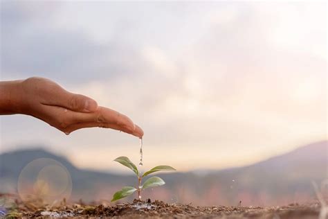 Symbolická fotografia ruky držiacej malú rastlinku