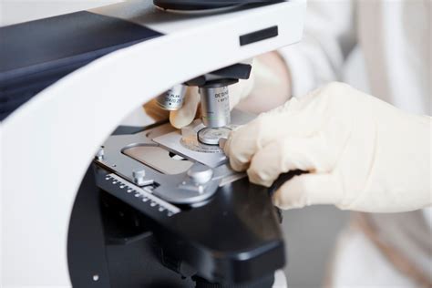 Katalóg darcov spermií