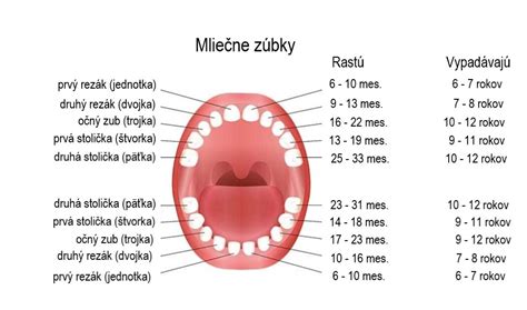 Schéma pupočného pruhu u dieťaťa