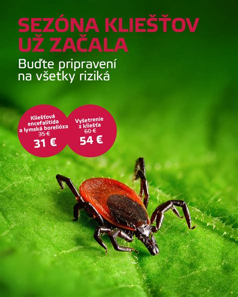 Ilustrácia rôznych predmetov, ktoré môžu prenášať vši