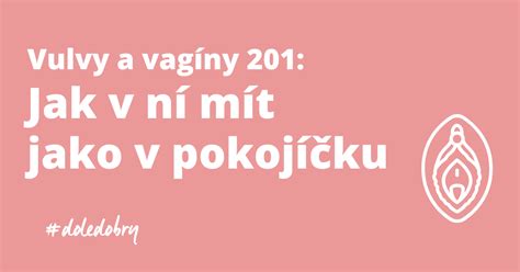 Ilustrácia ženských intímnych partií s označením vulvy a vagíny