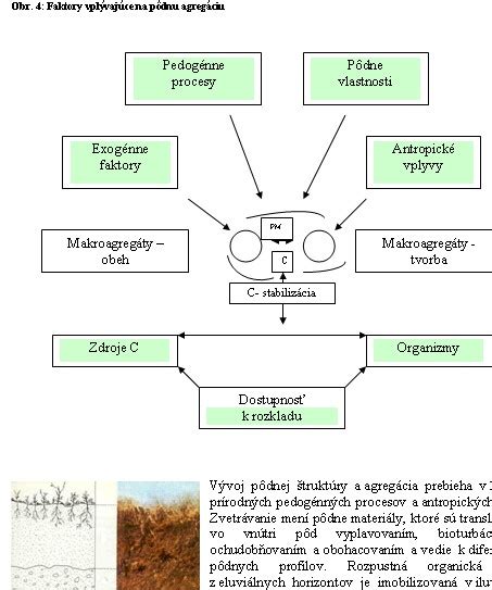 Infografika znázorňujúca faktory ovplyvňujúce plodnosť