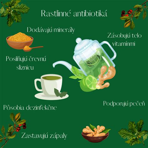 infografika zobrazujúca vplyv antibiotík na črevnú mikroflóru a imunitný systém