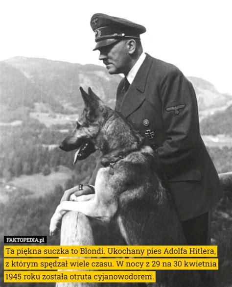 Adolf Hitler počas svojho prejavu