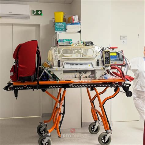 Ilustrácia novorodenca v albume