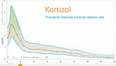 Graf znázorňujúci hladiny kortizolu pri krátkodobom a dlhodobom strese