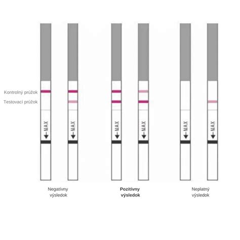Ilustrácia ovulačného testu s pozitívnym a negatívnym výsledkom