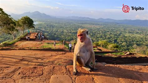 Tradičná thajská architektúra