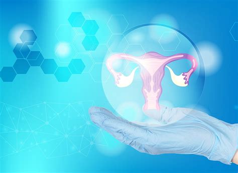 symbolické znázornenie maternice a embrya