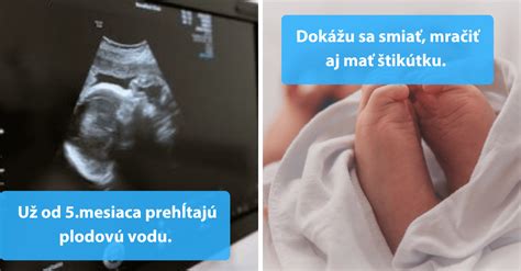 Vývoj odtlačkov prstov v maternici