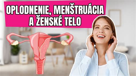 Ženský reprodukčný systém s vajíčkami