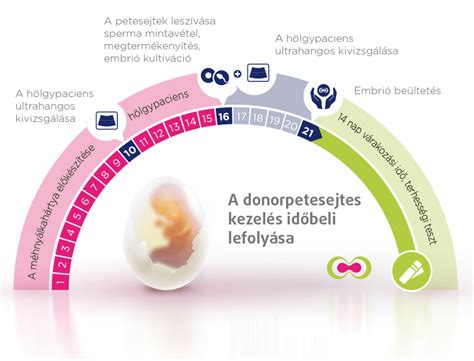 Infografika znázorňujúca percento úspešnosti IVF podľa veku ženy