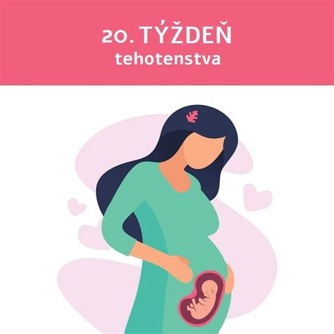 Ilustrácia ženy v 20. týždni tehotenstva s rastúcim bruškom