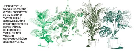 Ilustrácia rôznych využití podstavcov v domácnosti