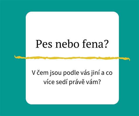 Pes a fena v párení
