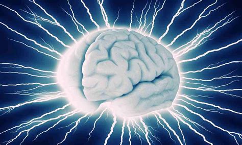 Diagram zobrazujúci mozog s vyznačenými oblasťami