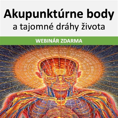 Akupunktúrne body súvisiace s plodnosťou