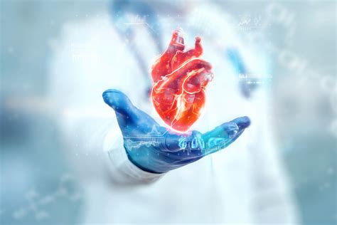 Infografika zobrazujúca fázy zotavenia po transplantácii srdca