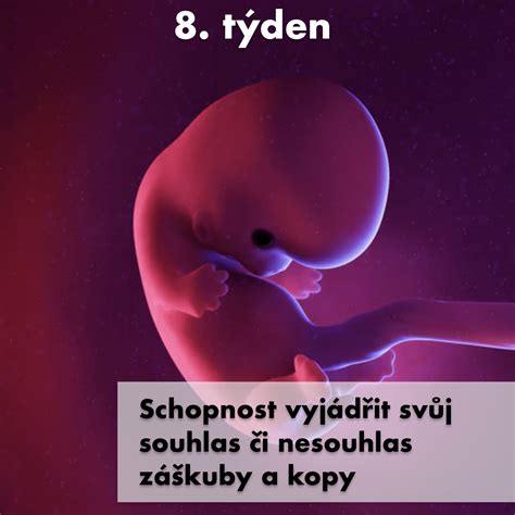 Infografika zobrazujúca vplyv rôznych teratogénov na vývoj plodu