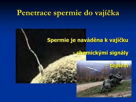 Spermie spred vajíčka