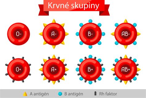 Ilustrácia dedenia krvných skupín