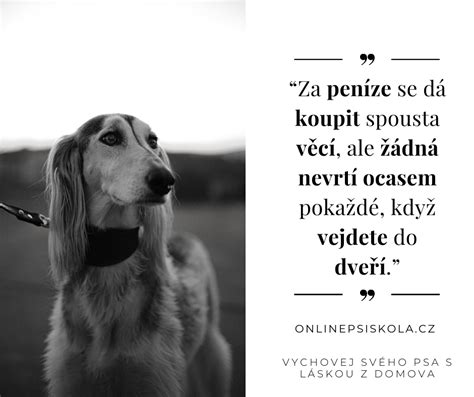 Šťastný pes a dieťa hrajúce sa spolu