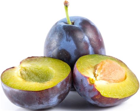 rozličné druhy ovocia - slivky a ringloty