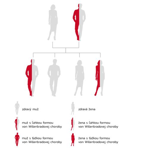 Schematické znázornenie autozomálne dominantnej dedičnosti