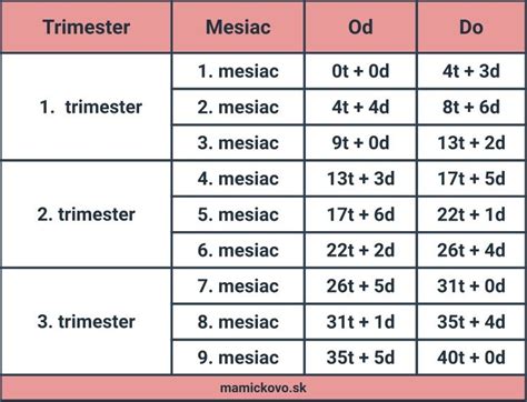 Infografika rozdelenia tehotenstva na trimestre a týždne
