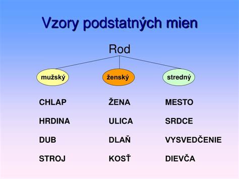 Infografika znázorňujúca základné rody a vzory skloňovania podstatných mien v slovenčine