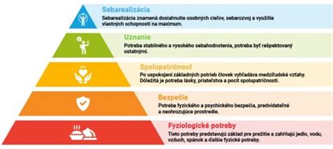 Ilustrácia znázorňujúca rozmanitosť ľudských tiel a ich potrieb