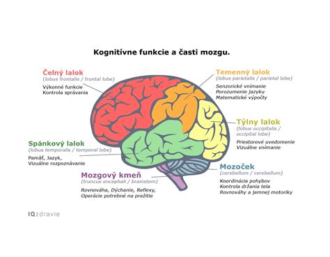Infografika zobrazujúca rôzne typy kočíkov a ich funkcie