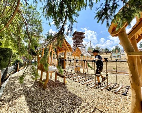 Ilustrácia lesa s deťmi objavujúcimi prírodu