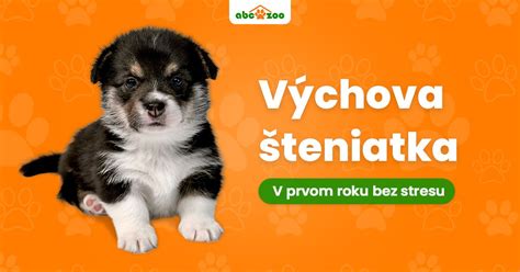 Šteniatko na trávniku