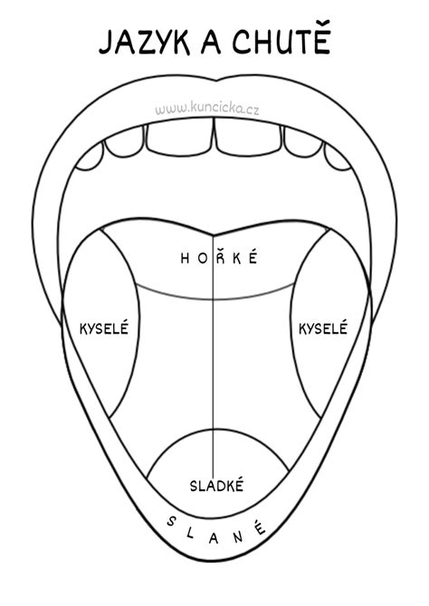 Diagram zobrazujúci anatomický tvar cumlíka a jeho interakciu s ústami dieťaťa