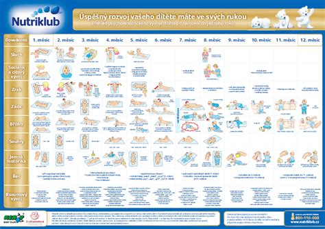 infografika zobrazujúca vývinové míľniky trojročného dieťaťa