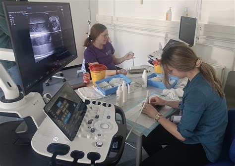 Porovnanie transabdominálneho a transvaginálneho ultrazvuku