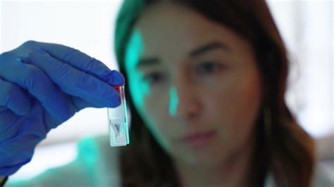 Flavonoidy a ich potenciál v liečbe rakoviny