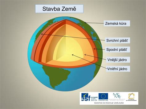 Diagram vaječníka s vyznačenými vrstvami