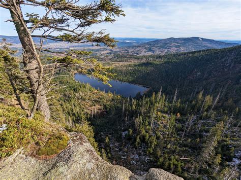 Ilustrácia vývojových štádií folikulu