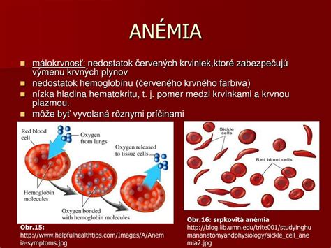 Ilustrácia červených krviniek s vyznačenými antigénmi