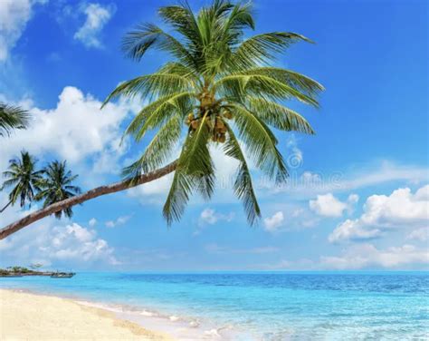 Ilustrácia rodiny, ktorá sa stará o dieťa