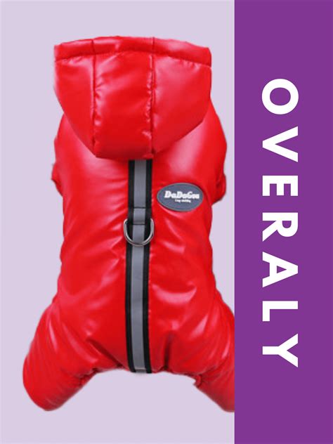 Športové oblečenie pre psa s nápisom