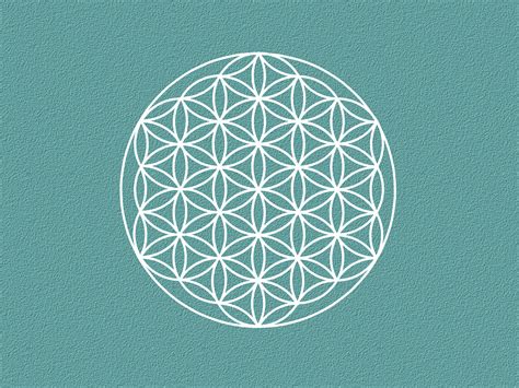 symbol ochrany tehotnej zeny